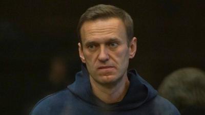Russian Opposition Figure Navalny Confirms Arrival at Prison