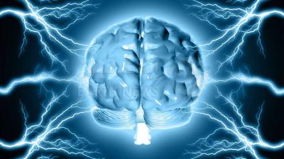 Gut Microbes Link to Autism