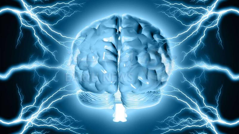 Gut Microbes Link to Autism