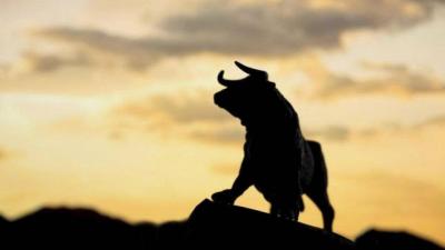 Video: Rampaging Bull Disrupts Traffic in Asir