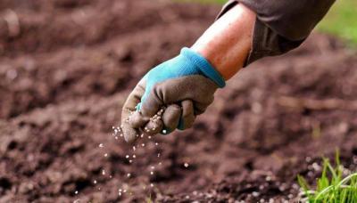 Russia Plans to Increase Fertilizer Production by 10% Next Year