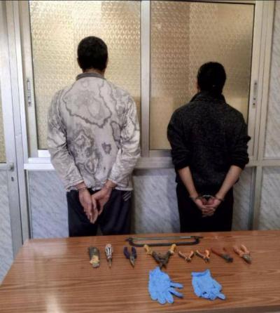 The Fate of Two Suspects with Over 10 Theft Incidents!
