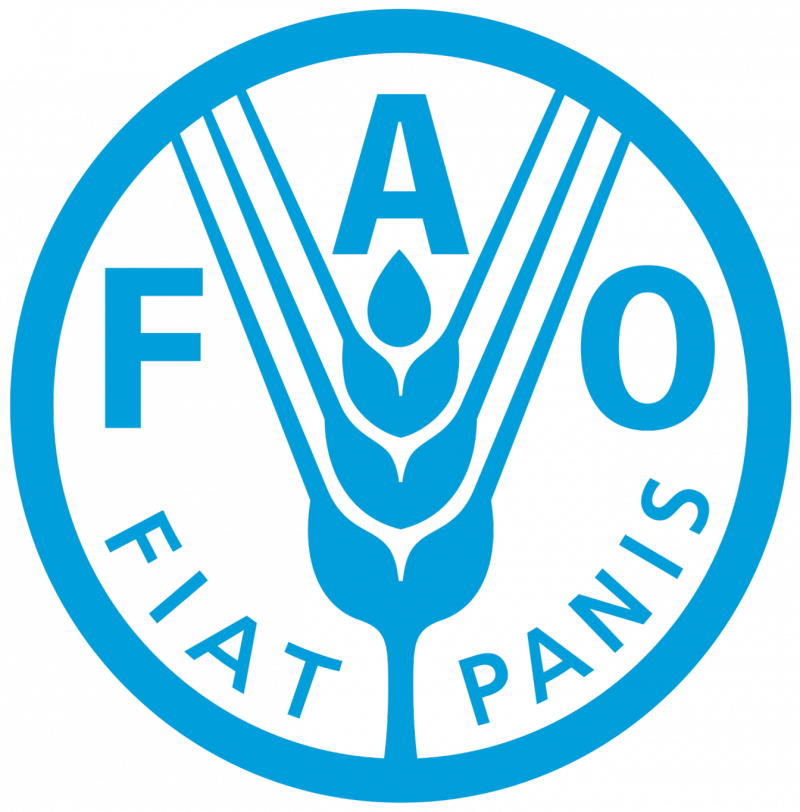 FAO: Global Food Prices Increase in July