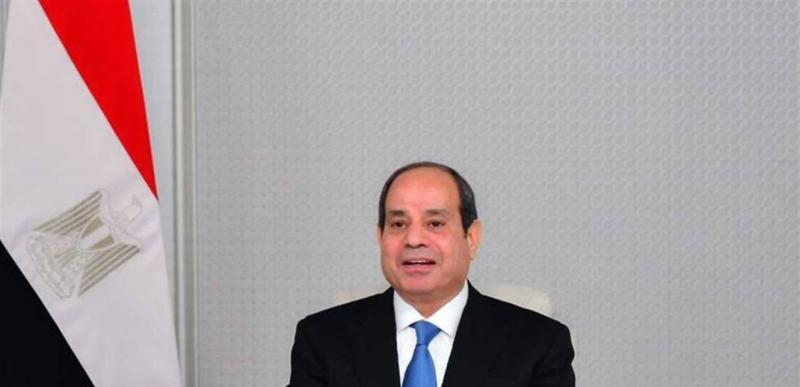 Egypt's Focus on BRICS and Foreign Currencies