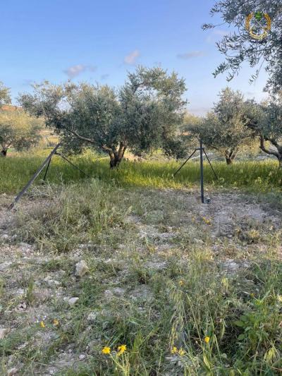 The Army Discovers Rocket Platforms, Lebanon Affirms Commitment to Resolution 1701