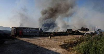 In Greece... Firefighters Battle Wildfires