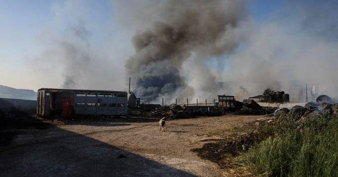 In Greece... Firefighters Battle Wildfires