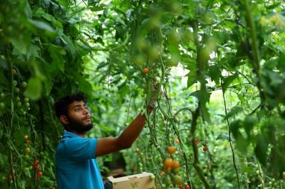 $13 Billion to Fund Agricultural Initiative Led by the US and UAE