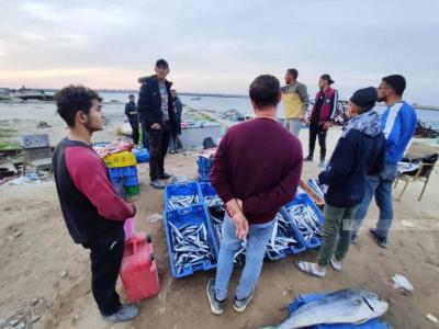 Fish in Gaza: The Abundant Gift of the Sea