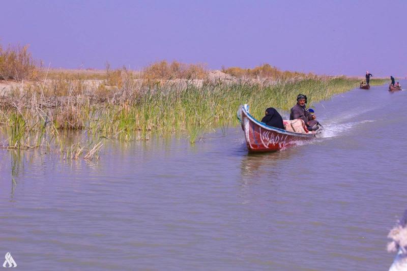 Iraq: The Marshes of Al-Jabhaish Overflow with Beauty and Bounty