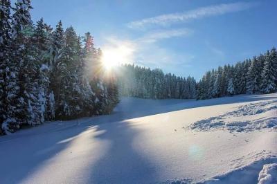 Summer in the Heart of January... Before the Storm
