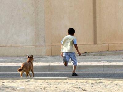 Tragic Death of a Little Girl: She Was Attacked by Stray Dogs!