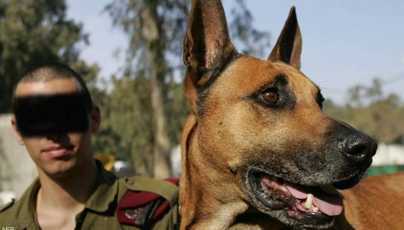 How Hamas Succeeded in Disabling Israeli Police Dogs