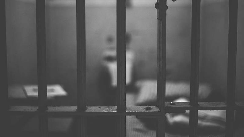 Title: Mother Locks Her Children in a Cage and Leaves Them in a Park (Video)