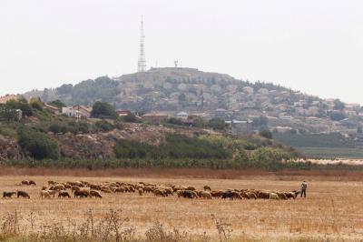 The Story of the Lebanese Shepherd in Israel