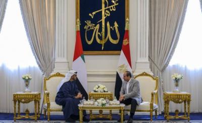 UAE and Egyptian Presidents Discuss Brotherhood Relations