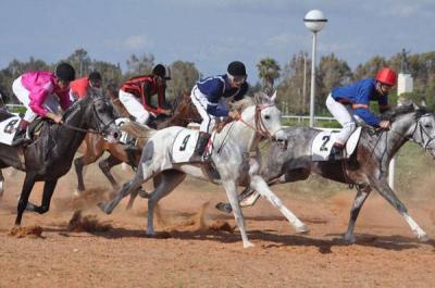 Fifth Race of Purebred Arabian Horses Kicks Off Tomorrow