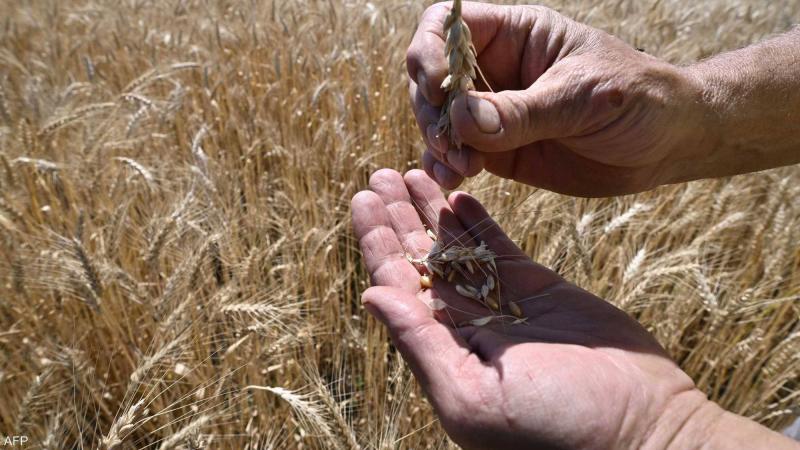 Russia: We Are Not Interested in Renewing the Black Sea Grain Agreement
