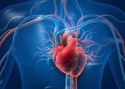 What Does Accumulated Plastic Do in the Arteries?
