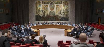 Algeria Leads the Arab Group in the Security Council