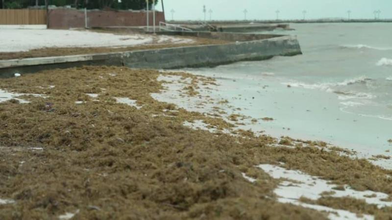 Death from Brain-Eating Amoeba Reported in America