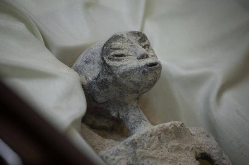 What Did the DNA Reveal About the Strange Entities from Mexico?