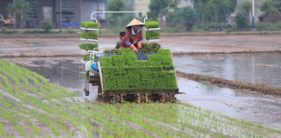 Floods Destroy Corn and Rice Crops in China