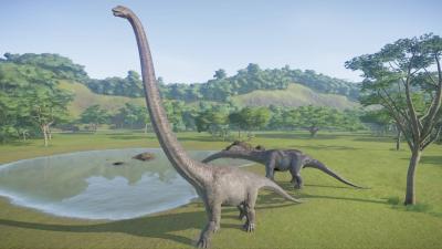 Discovery of the Longest-Necked Dinosaur