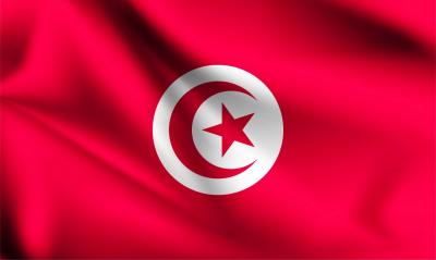 Moody's Adjusts Tunisia's Outlook from Negative to Stable