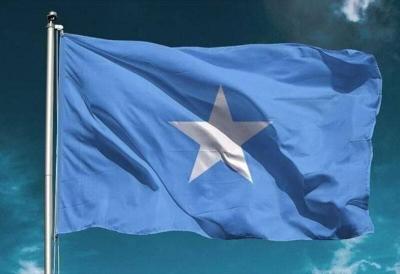 Somali Parliament Approves Constitutional Amendment