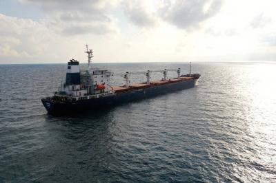 Russia and the UN May Discuss Grain and Fertilizer Exports This Month