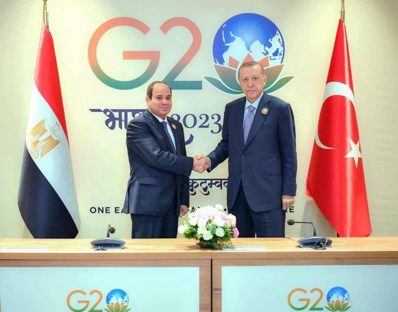 Erdogan: Discussed Reviving the Joint Cooperation Council with Sisi