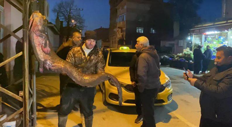 Turkey... Two Men Go Viral After Catching a Giant Fish