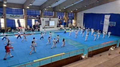 Taekwondo: Referee Training and Qualification Course in "Poomsae"