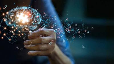 Acumen's Alzheimer's Drug Passes Initial Safety Test