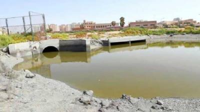 In Kuwait: Fish Contaminated with Plastic