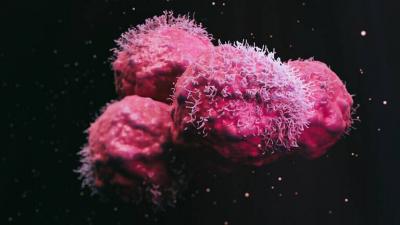 3D Bioprinting Technology for Cancer Immunotherapy