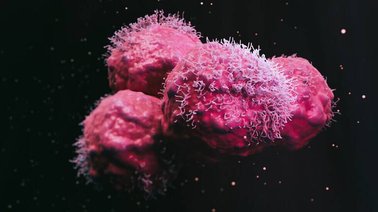 3D Bioprinting Technology for Cancer Immunotherapy