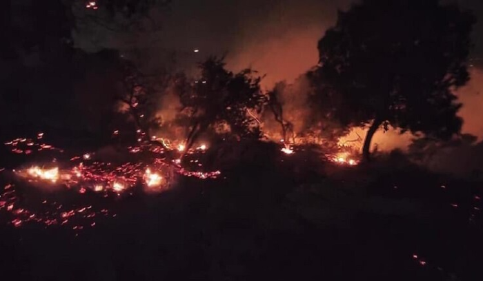 نشوب حريق كبير في محمية اليرموك بإربد شمال الاردن