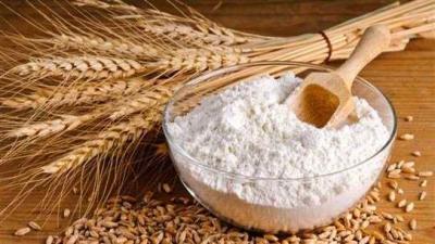 قمح مدعوم للخبز 