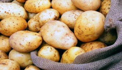 Ministry of Agriculture Confirms Compliance of Egyptian Potato Shipment at Tripoli Port