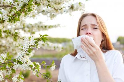 Plants That Cause Seasonal Allergies: What Are They?