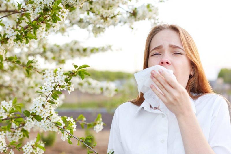 Plants That Cause Seasonal Allergies: What Are They?