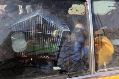 Hope Under the Rubble: The Story of Baby Maryam After an Airstrike in Gaza