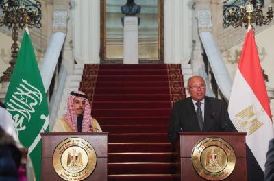 Saudi and Egyptian Foreign Ministers: Call for Ceasefire in Gaza