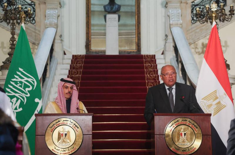 Saudi and Egyptian Foreign Ministers: Call for Ceasefire in Gaza