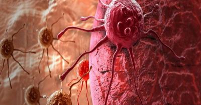 Beware of These Carcinogenic Materials!