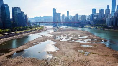 Decline of More Than Half of the World’s Lakes