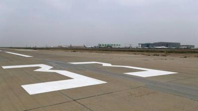 Iraq: Ministry of Transport Clarifies Authenticity of Stray Dogs Video at Baghdad Airport