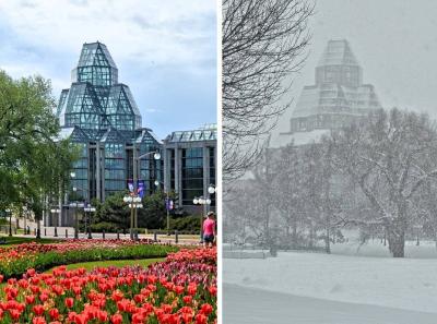 Where is the Snow? Canada Awakes to a "Green" Christmas This Year